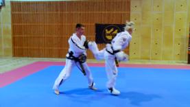 Taekwondo_18tylrekadoldolDwit.0003