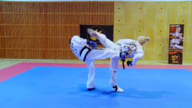 Taekwondo_1_dwitBandae (1).0000