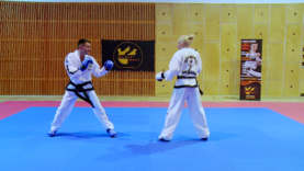 Taekwondo_2skrotnadollyo.0000