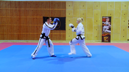 Taekwondo_3_wejscierekami.0000
