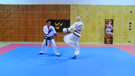 Taekwondo_5_dollyoNaeryo.0003